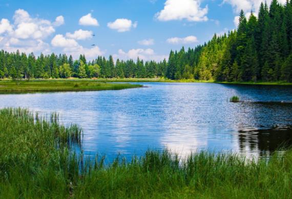 火電廠外排的高鹽廢水危害幾監(jiān)測問題 火電廠外排的高鹽廢水危害幾監(jiān)測問題