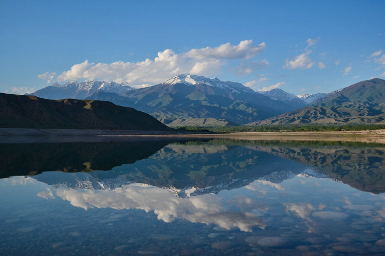 水質(zhì)污染 水質(zhì)污染