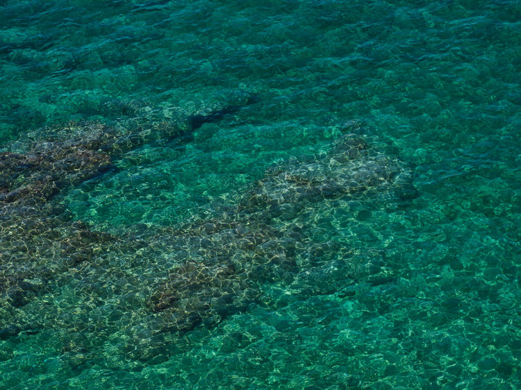 COD測(cè)定儀 COD測(cè)定儀